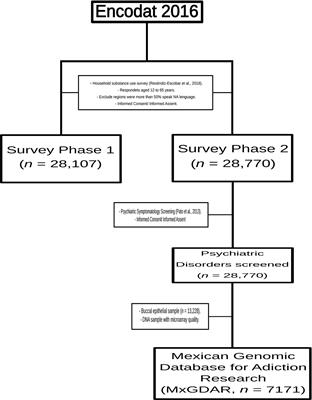 The Identification of Admixture Patterns Could Refine Pharmacogenetic Counseling: Analysis of a Population-Based Sample in Mexico